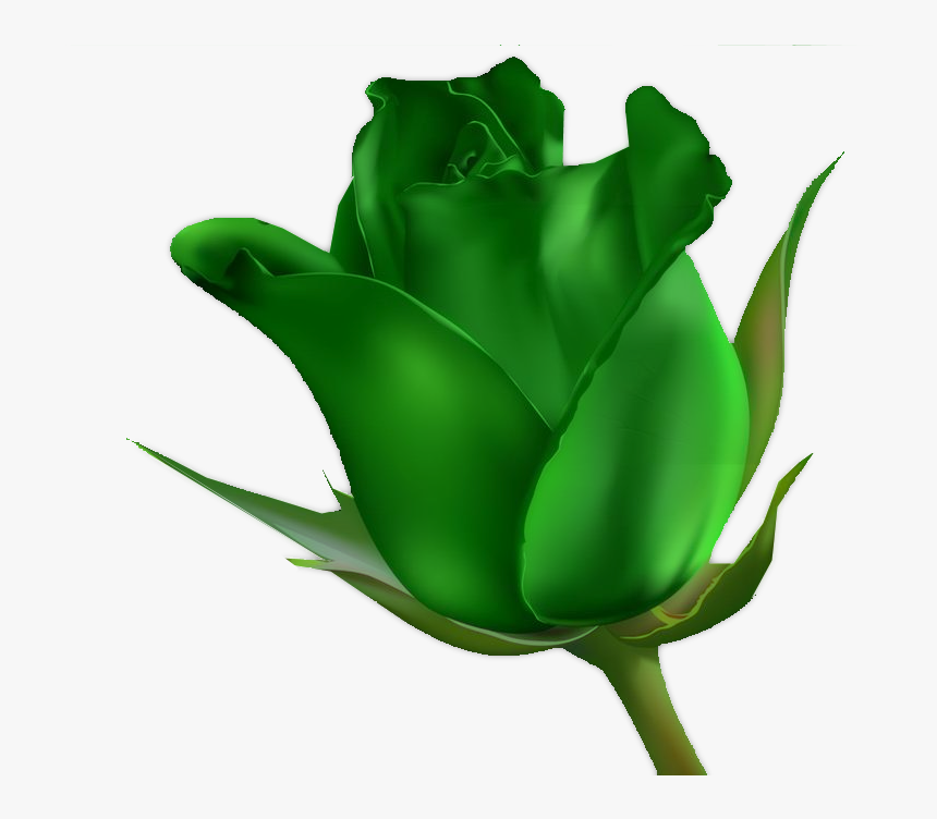 Floribunda, HD Png Download