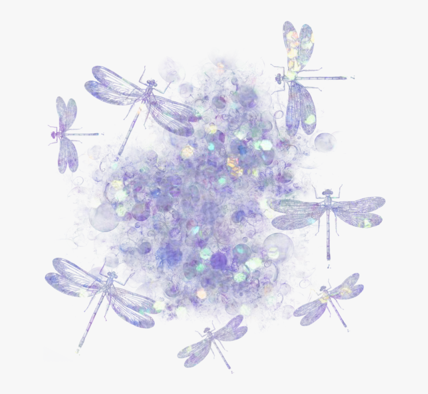 Damselfly, HD Png Download