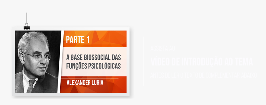 Orange, HD Png Download