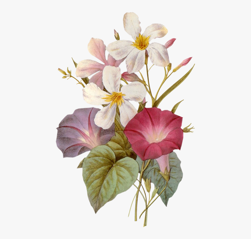 Hình Ảnh Good Evening, HD Png Download