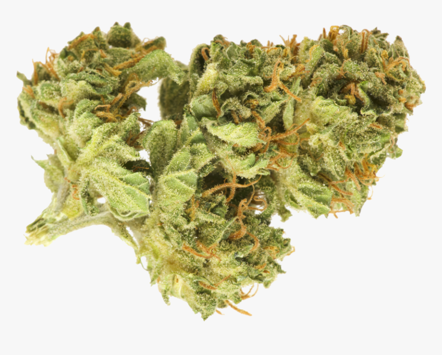 Weed Bud Png, Transparent Png