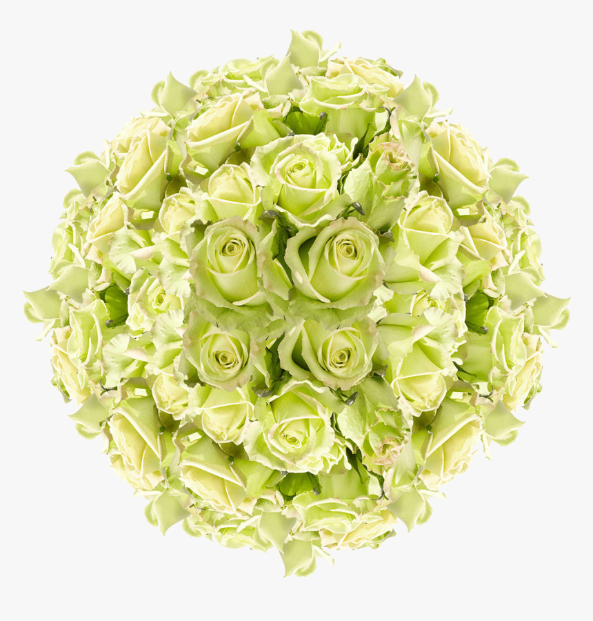 Order Green Roses - Garden Roses, HD Png Download