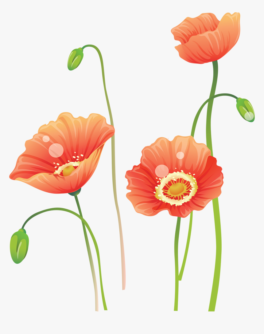 Flower Watercolor Painting - Portable Network Graphics, HD Png Download