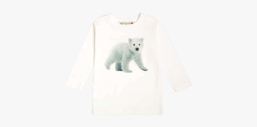 Polar Bear, HD Png Download