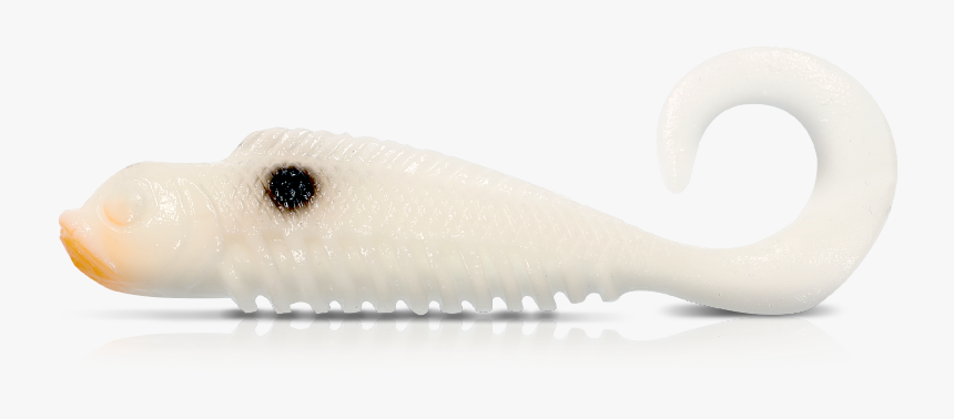 Whale, HD Png Download
