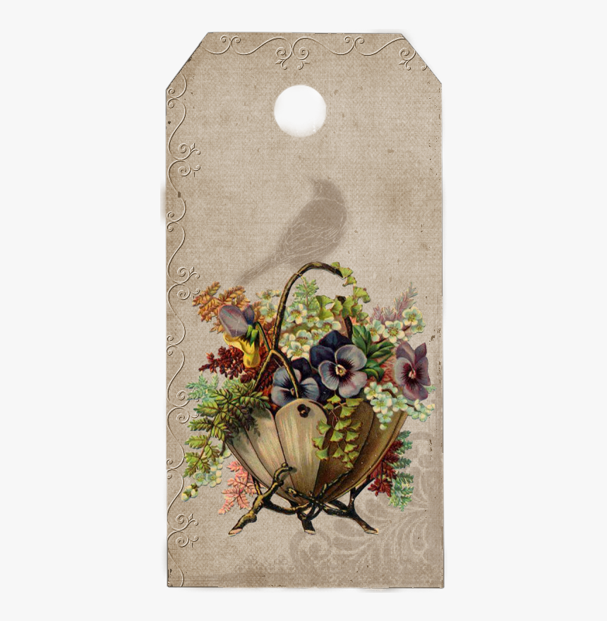 Banksia, HD Png Download