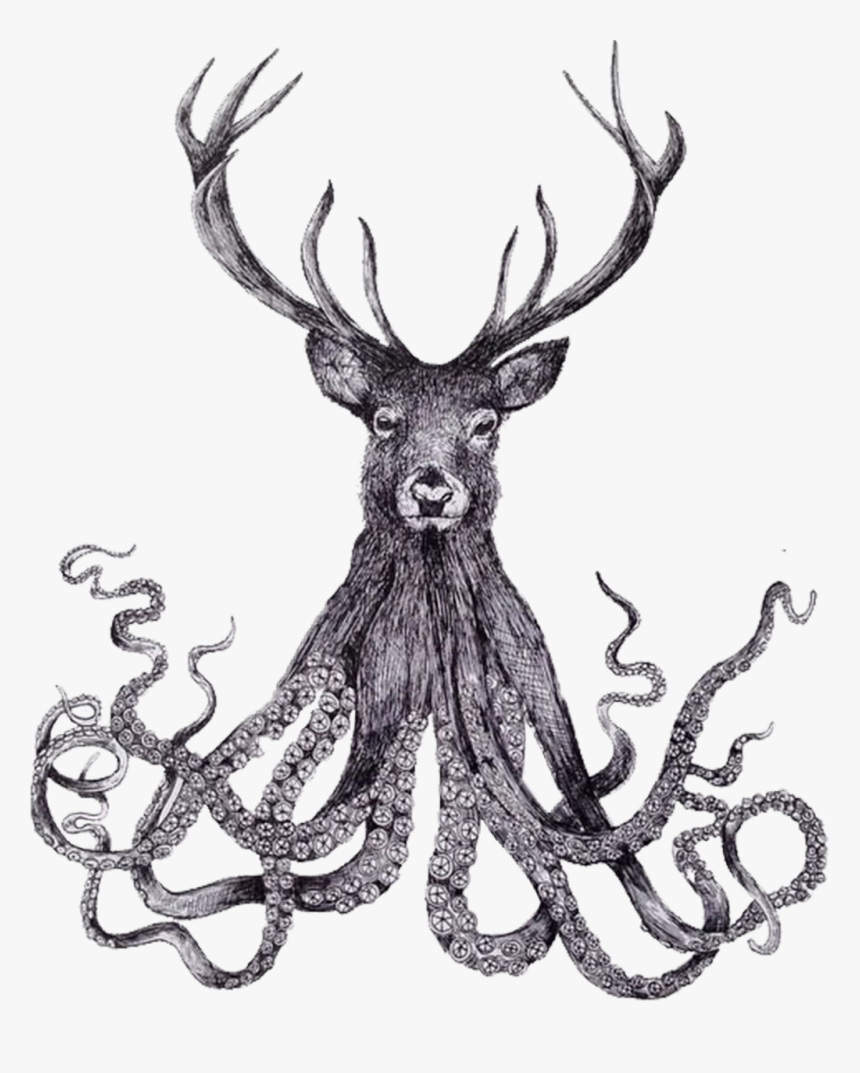 #octopus #deer - Drawing Art, HD Png Download