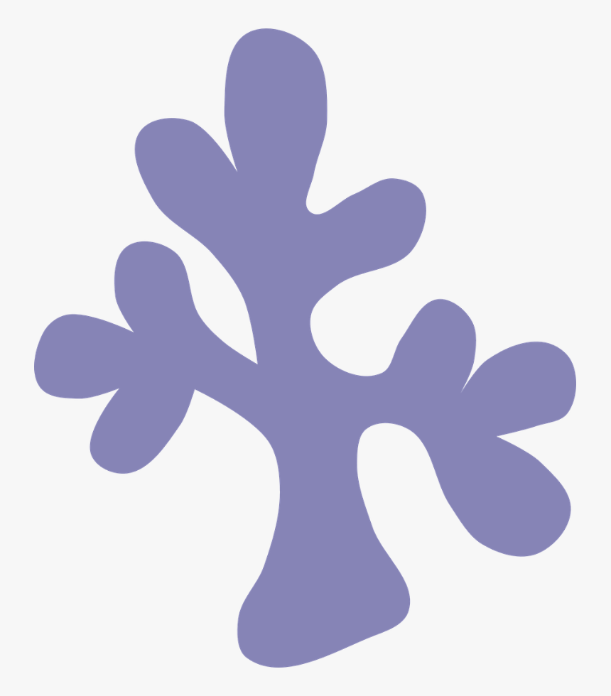Flores Fundo Do Mar Png, Transparent Png