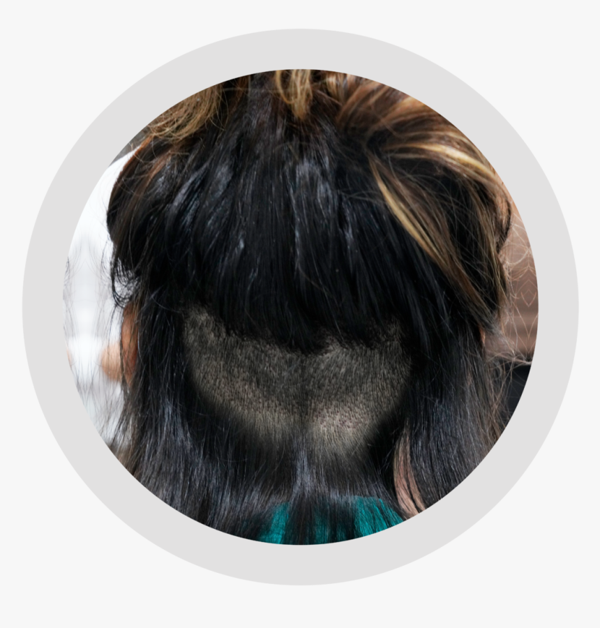 Lace Wig, HD Png Download