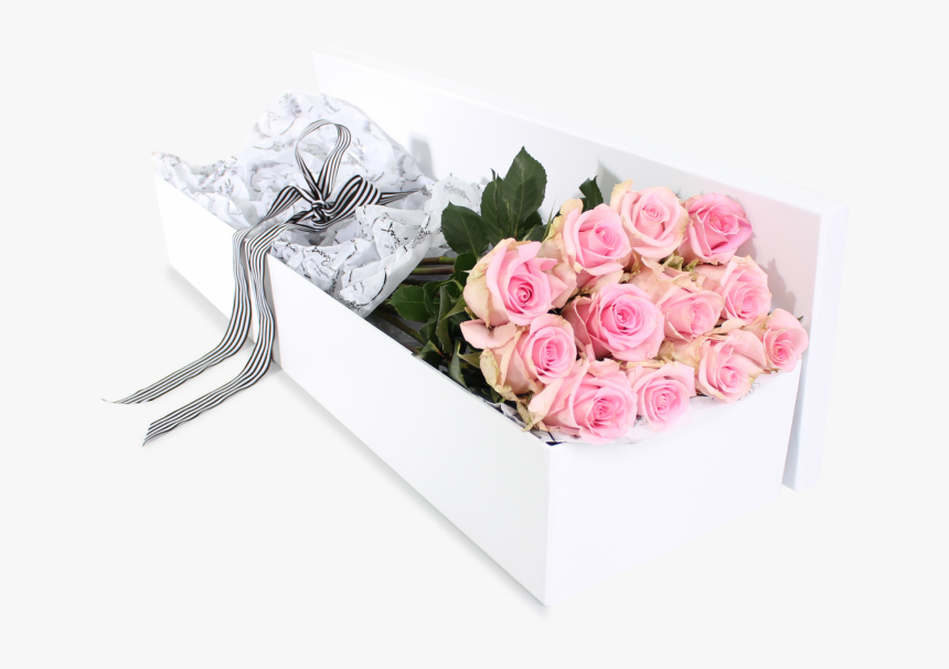 Floribunda, HD Png Download