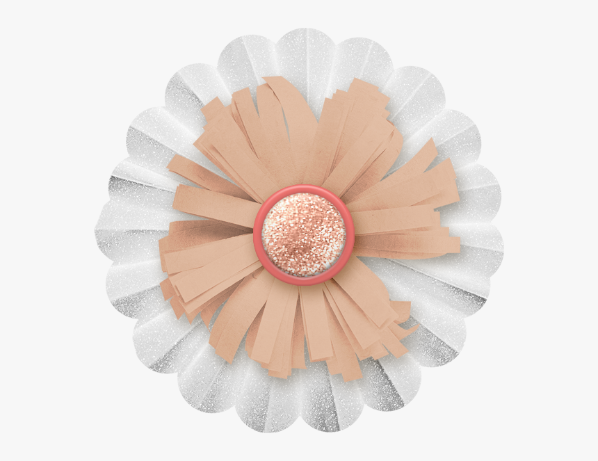 #cuorelucymy - Barberton Daisy, HD Png Download