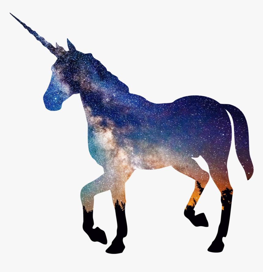 Transparent Transparent Background Unicorn, HD Png Download