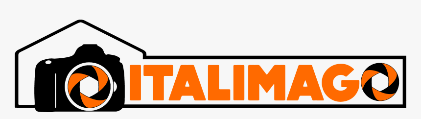 Strippers, Wedding Trucks And Dinosaurs, HD Png Download