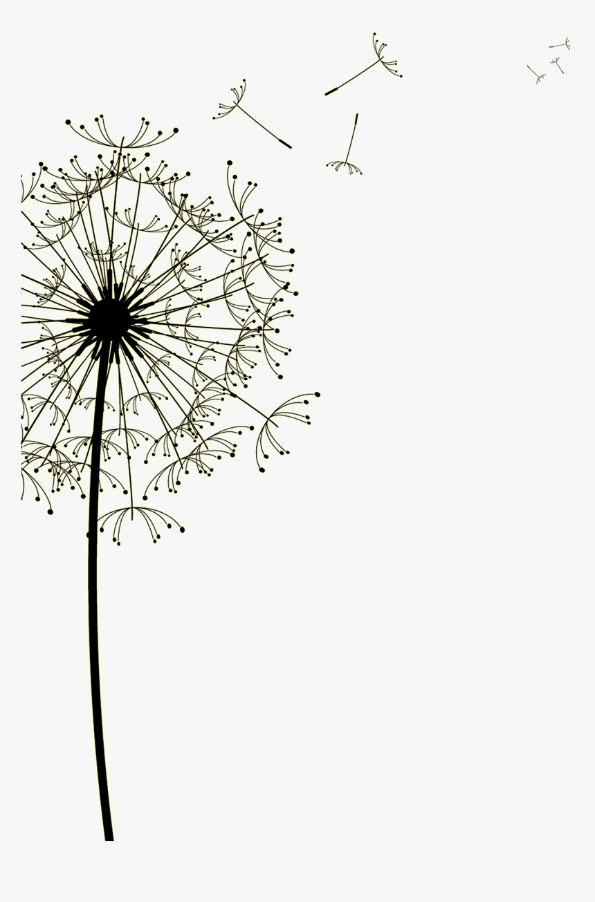Drawn Dandelion Jar - Dandelion, HD Png Download