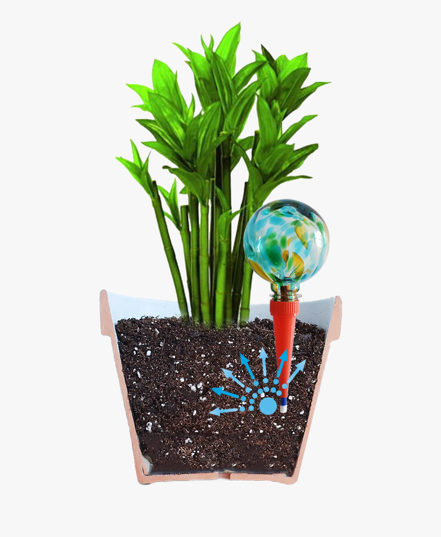 Plant Watering System, HD Png Download