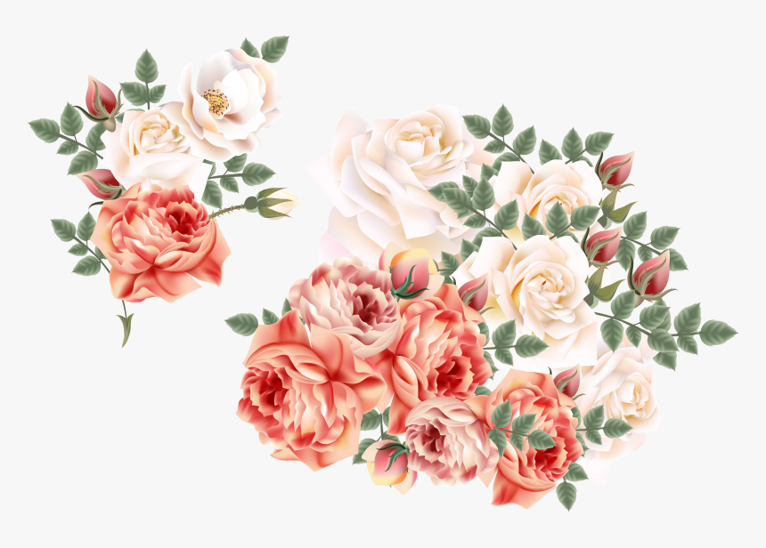 Roses Centifolia Euclidean Hand - Rose, HD Png Download