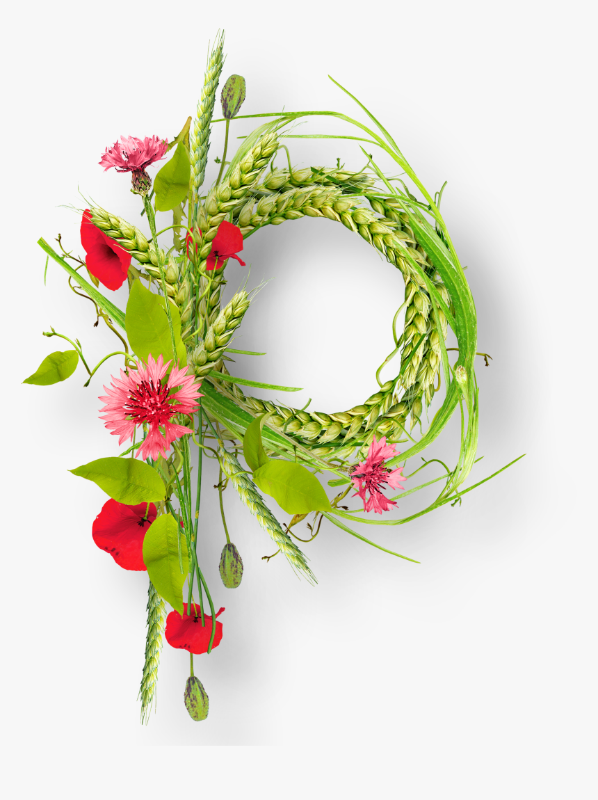 Floral Frame Png - Anthurium, Transparent Png