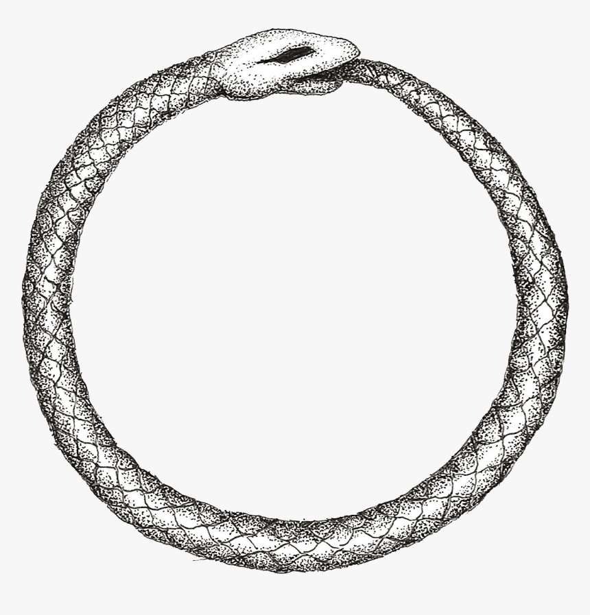 Snake Eating Its Tail Png, Transparent Png