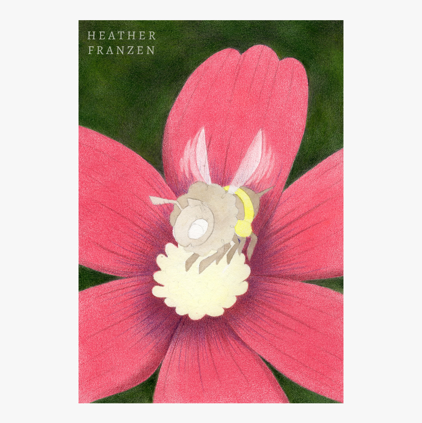 Ochre, HD Png Download