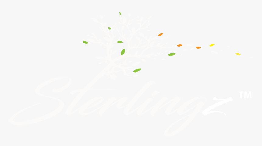 Sterlingz - Calligraphy, HD Png Download
