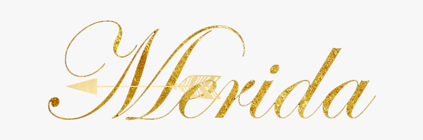 Erica Mcgraw, HD Png Download