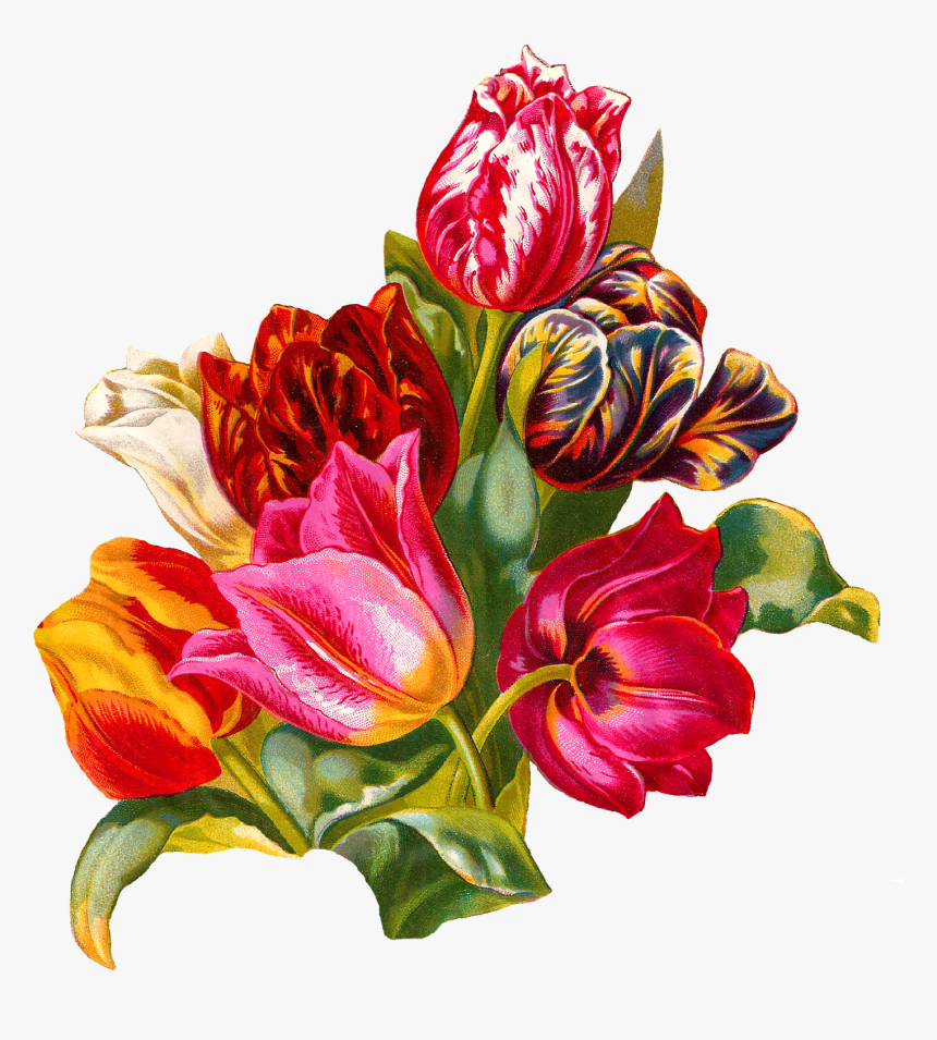Cut Flowers, HD Png Download