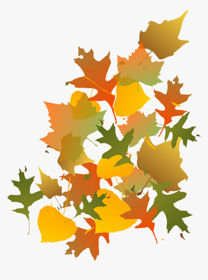 Fall Leaves Image - Autumn Leaves Clip Art, HD Png Download