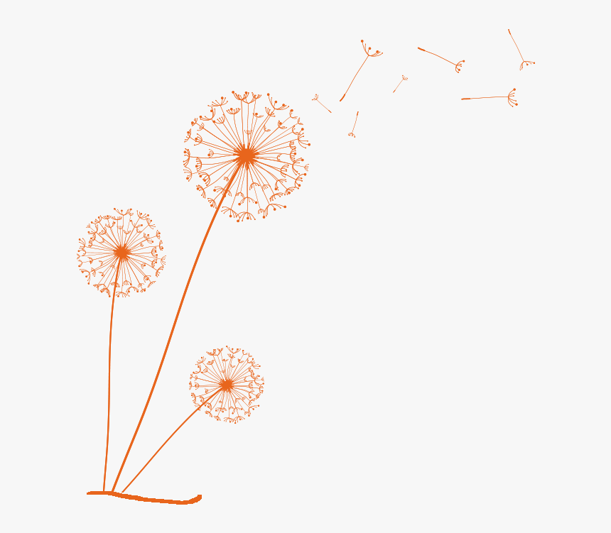 Transparent Background Dandelion Clipart, HD Png Download