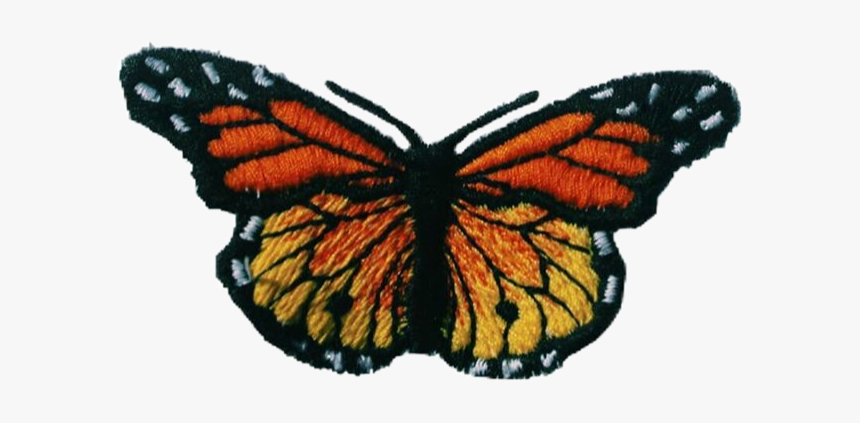 #butterfly #png #orangeaesthetic #freetoedit - Lycaena, Transparent Png