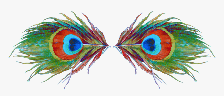 Creative Arts, HD Png Download