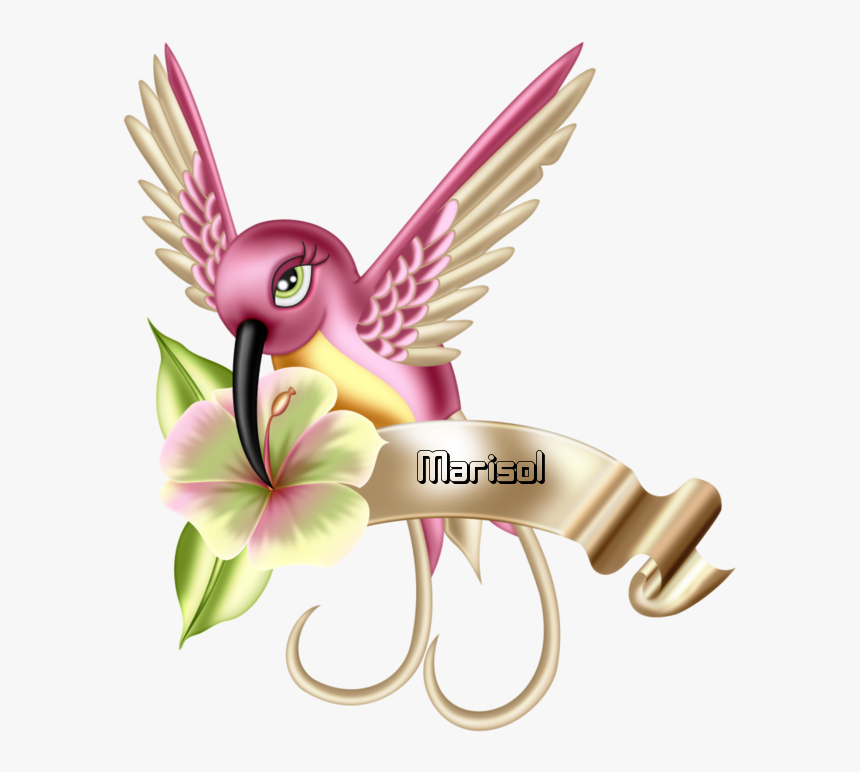 Beautiful Bird Clipart, HD Png Download