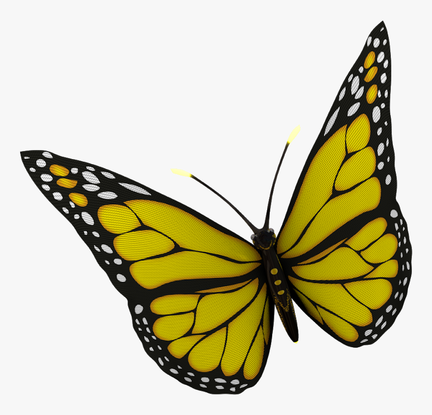 Monarch Butterfly, HD Png Download