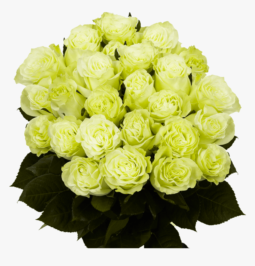 Flower Delivery 2 Dozen Green Roses Bouquets - Garden Roses, HD Png Download