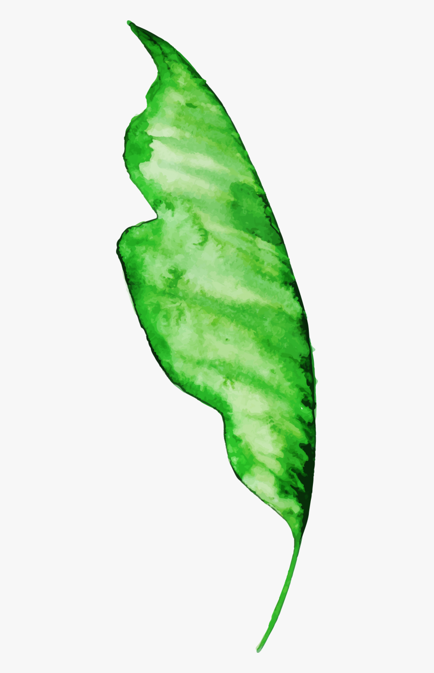 Illustration, HD Png Download