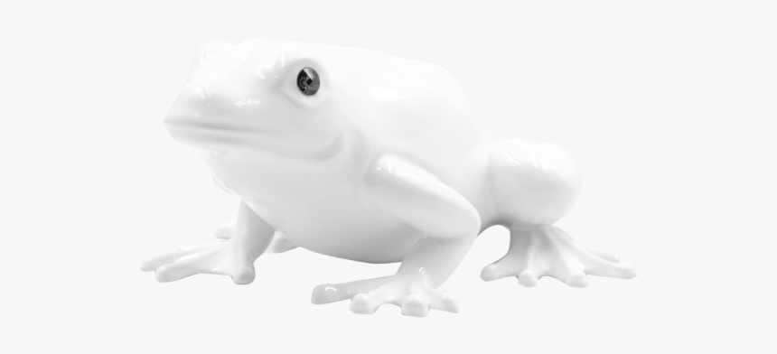 00020 - Toad, HD Png Download