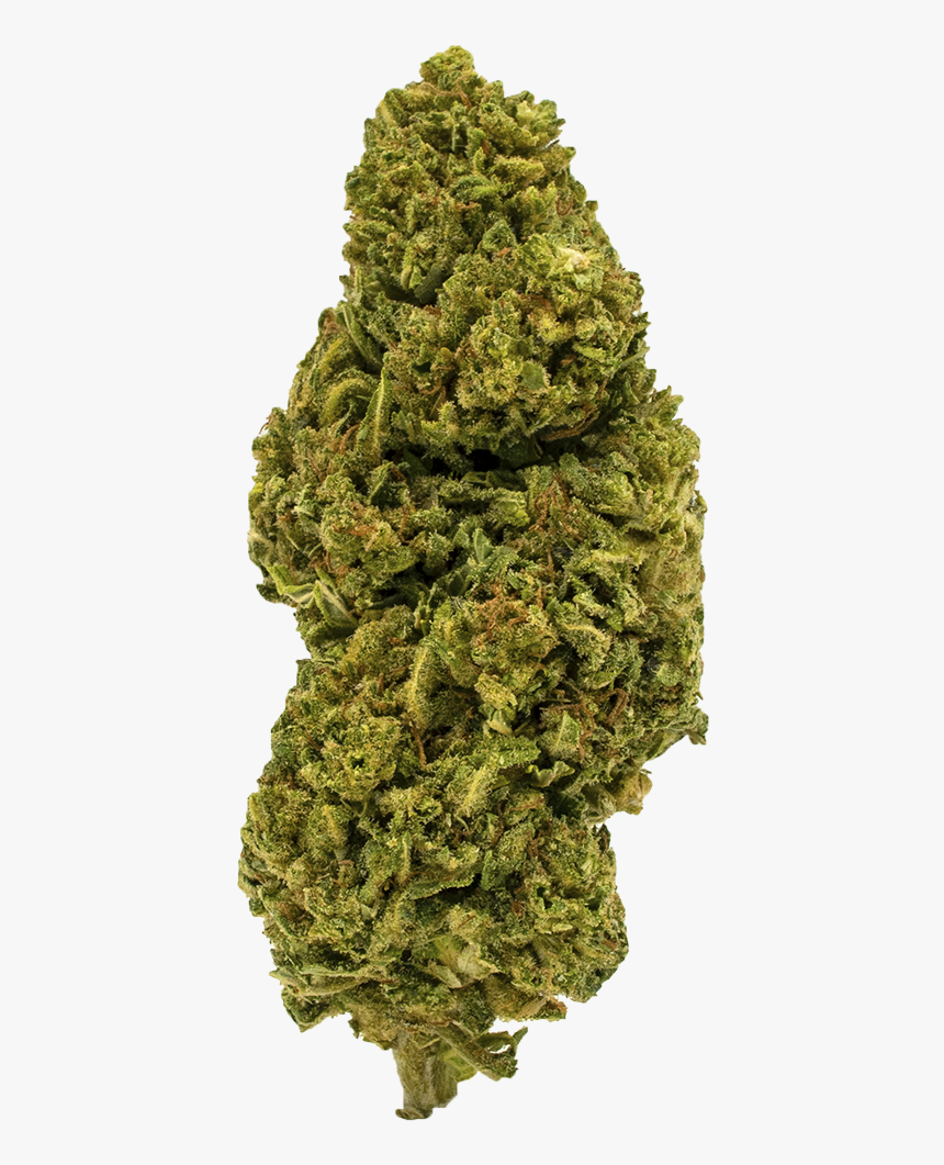 Weed Bud Png, Transparent Png