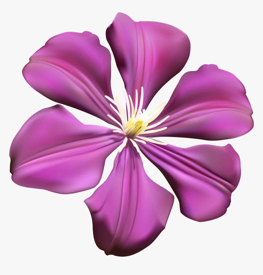 Purple Flower Clipart Png Banner Library Stock Purple Flower