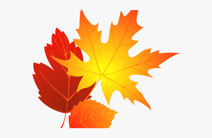 Transparent Background Fall Leaf Clipart, HD Png Download