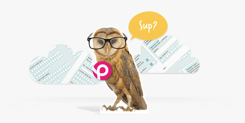 Support - Bird Of Prey, HD Png Download