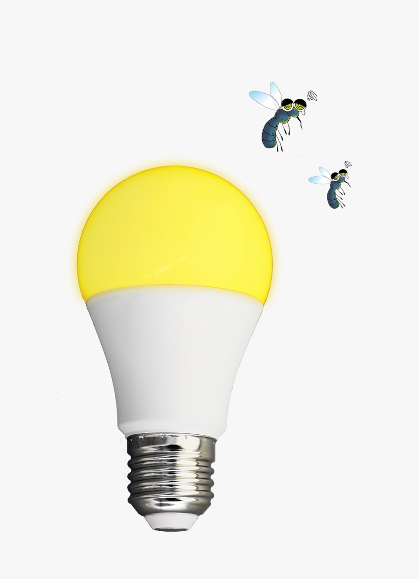 Incandescent Light Bulb, HD Png Download
