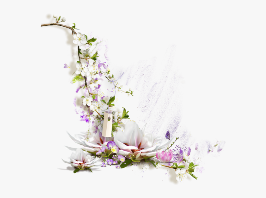 Flower Lotus Frame Png, Transparent Png