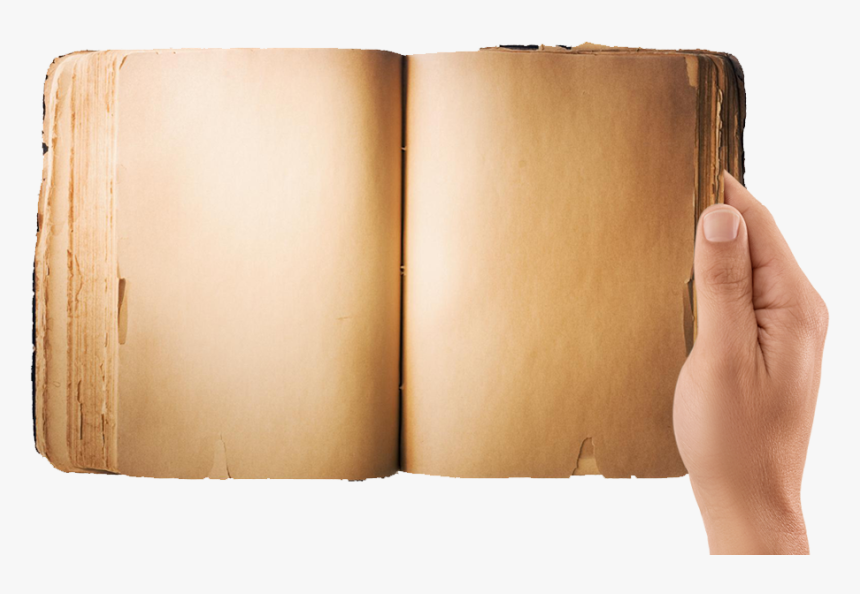 Hand, HD Png Download
