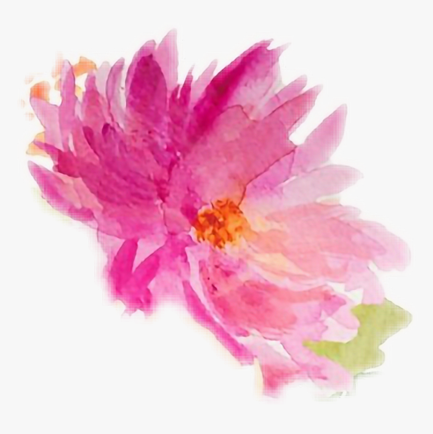 Peony, HD Png Download