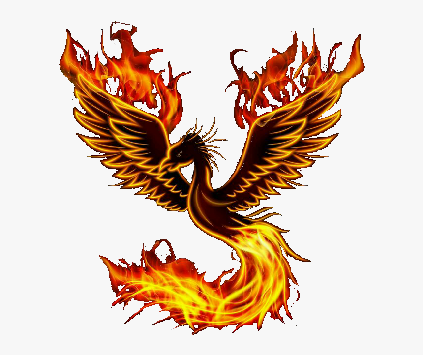 #phoenix #bird - Illustration, HD Png Download