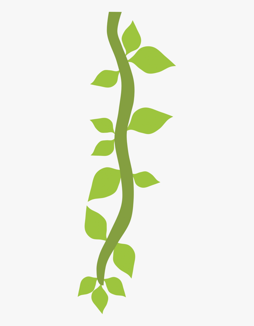 Vines Png Cartoon, Transparent Png , Transparent Png Image PNGitem