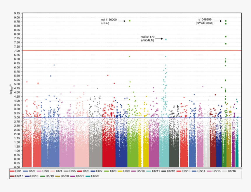 Screenshot, HD Png Download