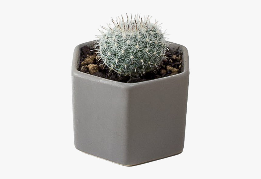 Flowerpot, HD Png Download