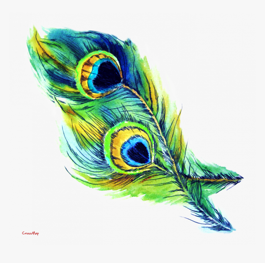 Transparent Background Peacock Feathers Clip Art, HD Png Download
