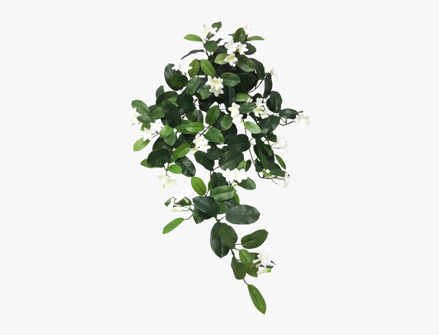 Transparent Leaves Hanging - Wedding Leaf Png, Png Download