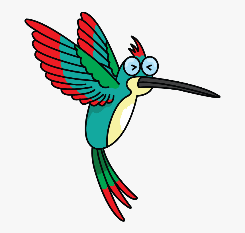 How To Draw A - Hummingbird, HD Png Download
